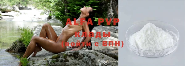 прущие грибы Михайловка