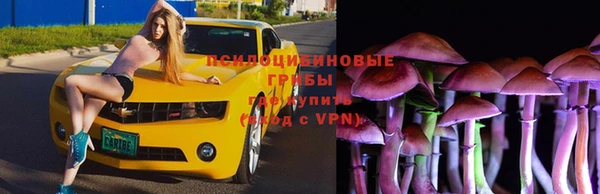 скорость Михайловск