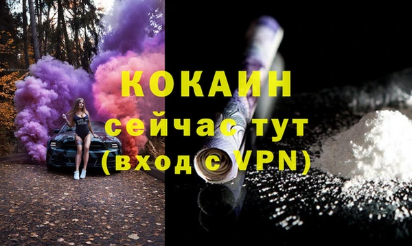 прущие грибы Михайловка