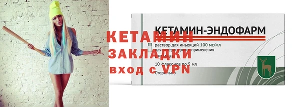 прущие грибы Михайловка