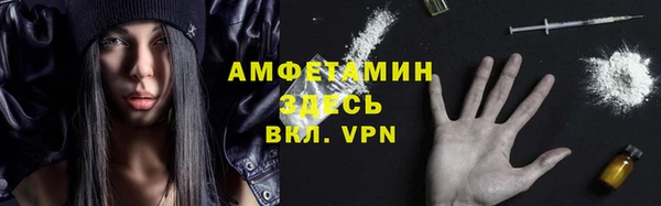 прущие грибы Михайловка