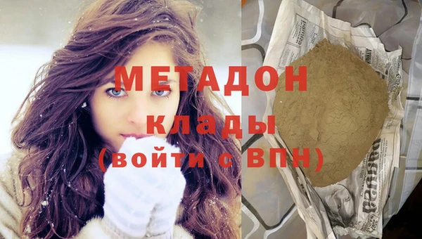 прущие грибы Михайловка