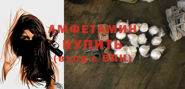 прущие грибы Михайловка