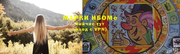прущие грибы Михайловка
