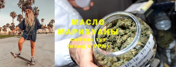 индика Мегион