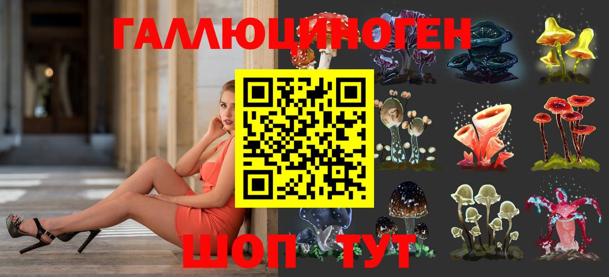 Галлюциногенные грибы GOLDEN TEACHER Надым