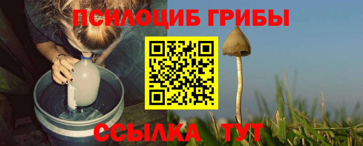 Надым  Галлюциногенные грибы MAGIC MUSHROOMS  Вход с VPN  Галлюциногенные грибы мицелий 