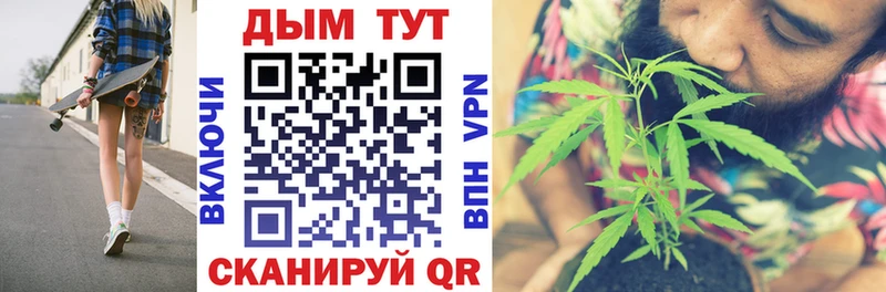 Конопля сатива  Надым 